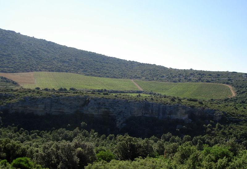 secteur des cocalieres