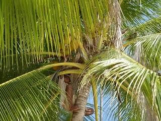 Voyage au coeur de la carte postale Voyage au coeur de la carte postale