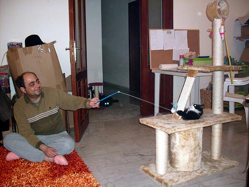 Vie de Chats, vie de Pacha + petites news de Babushka newsdeschats007