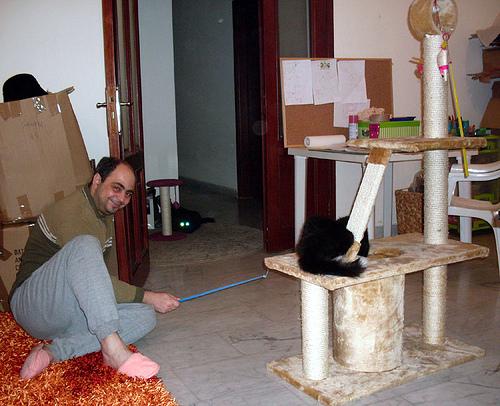 Vie de Chats, vie de Pacha + petites news de Babushka newsdeschats008