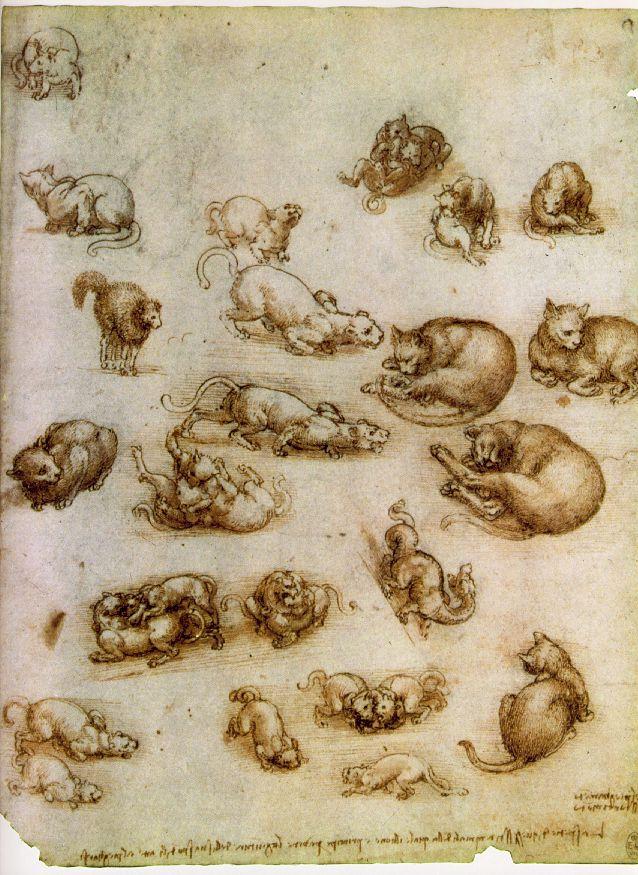 leonard-de-vinci-etude-du-mouvement-des-chats.1268645354.jpg