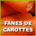 Cake aux carottes et aux noix