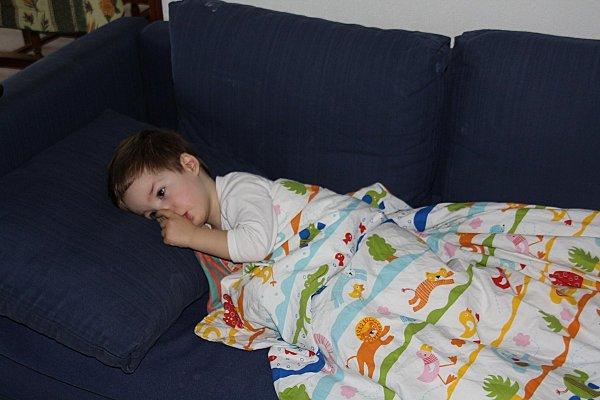 Raplapla BLOG-7-2447.JPG