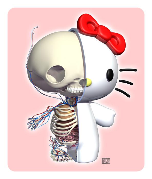 L'anatomie de Kitty http://www.jaimehellokitty.com/images/Articles004/anatomieskitty.jpg