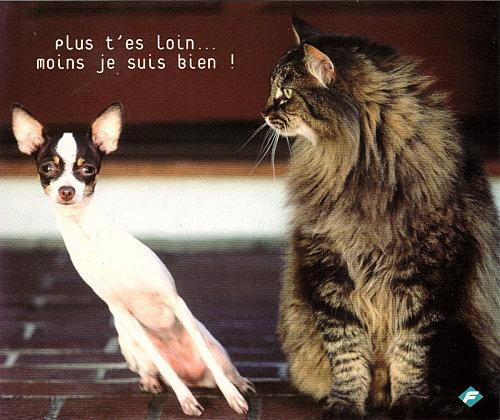 bonne-nuit-compagnie-patinage-artistique-sur--L-3.jpeg