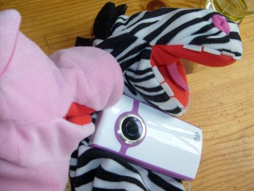 Et pourquoi je parlerais pas d'Axl, d'abord? S6302221.JPG