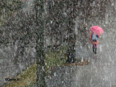 Photos du jour: le 26 mars 2010 La Chaux-de-Fonds: 26 mars 2010 neige