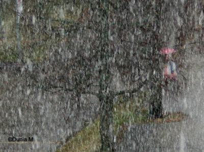 Photos du jour: le 26 mars 2010 La Chaux-de-Fonds: 26 mars 2010 neige