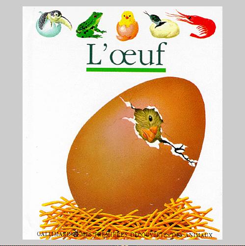 Pourquoi ça devient blanc en cuisant... 387376130_L.jpg.gif