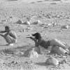 steve mcqueen firing steve mcqueen firing 100x100 Steve McQueen : 20 photos inédites et inspiratrices