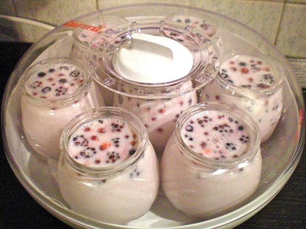 ET OUIIII ENFIN DES YAOURTS .....ET .. DES YAOURTS AUX FRUITS ROUGES..... 100 0815-copie-2