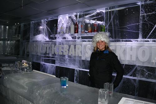 Absolut Ice bar Découvrez les auberges de jeunesse les plus originales de Stockholm