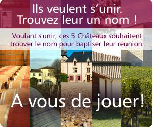 Jeu concours avec 5 Châteaux à Saint-Emilion sur Terre de Vins