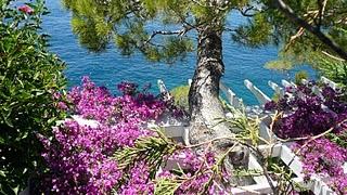 Vive les mariés ! par Lady Pénélope Vive les mariés ! par Lady Pénélope