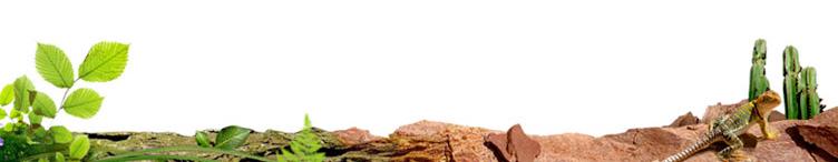 Lettre ouverte aux citoyens signataires du Pacte Ecologique pacte ecologique