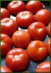 Tomates à la provençale tomate_non_cuite
