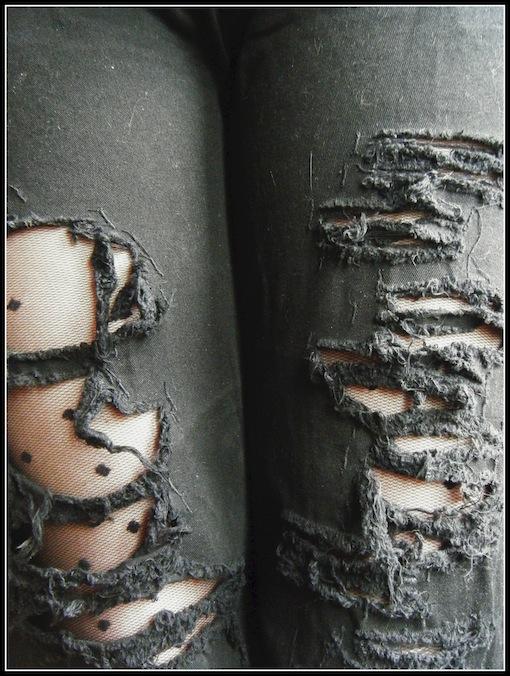 destroy-plumetis destroy-plumetis