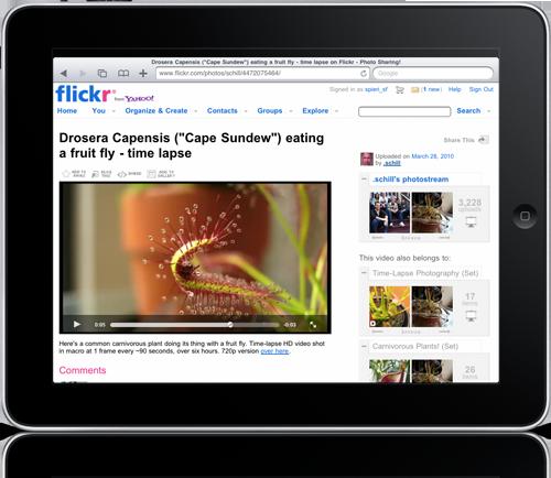 Flickr en HTML5