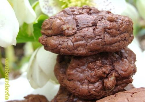 DSC06835 Biscuits soufflés pur chocolat