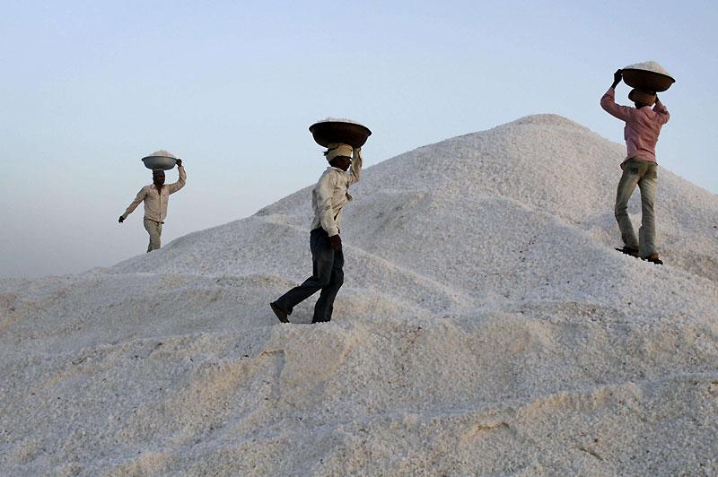 Mercredi 31 mars, des ouvriers livrent du sel dans un lieu de stockage près de Kharaghoda, en Inde. 