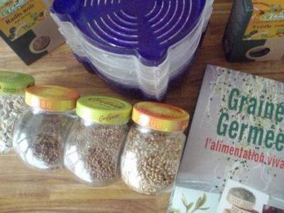 Graines germées dans l'alimentation vivante Graines germées dans l'alimentation vivante