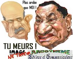 Egypte : Elbaradei soutenu par l'opposition et face à un régime des plus renfermés des pays arabes Egypte : Elbaradei soutenu par l'opposition et face à un régime des plus renfermés des pays arabes