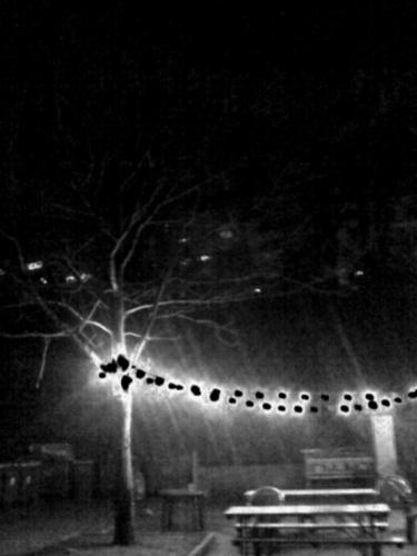 Cloche ? IMG_2319.JPG