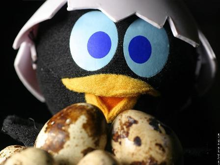 Bonnes grosses... paques