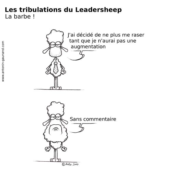 le-leadersheep-la-barbe