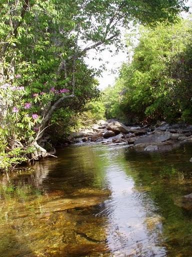 Un Stage aux USA: June 2005 Un Stage aux USA: June 2005