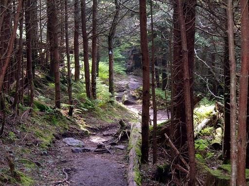 Un Stage aux USA: June 2005 Un Stage aux USA: June 2005