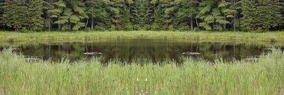 Pendant que l'eau file... Pendant que l'eau file...