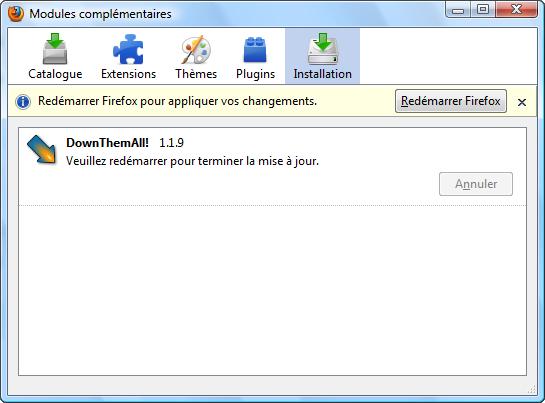 Down Them All 03 Boostez et gérer vos téléchargements sur Firefox !