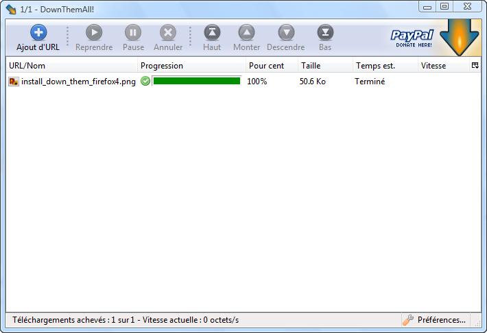 Down Them All 04 Boostez et gérer vos téléchargements sur Firefox !
