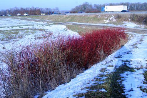 cornus route 16 février 003.jpg