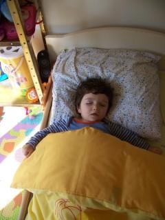Il dort