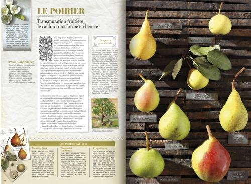 memoiredevergersplanche De Mémoire de Vergers, Histoires gourmandes des fruits de nos campagnes, Serge Schall, éditions Plume de Carotte