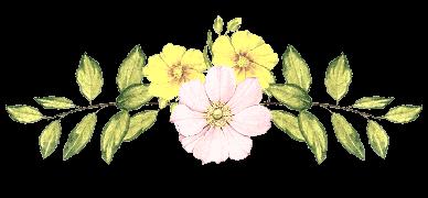 CREDO POUR LA VIE 6um49wi2