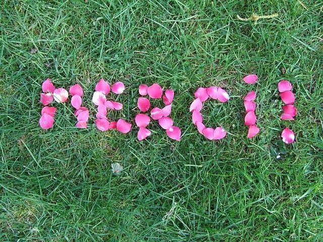 Le blog vient d'atteindre les 10000 visites... Merci ! Le blog vient d'atteindre les 10000 visites... Merci !