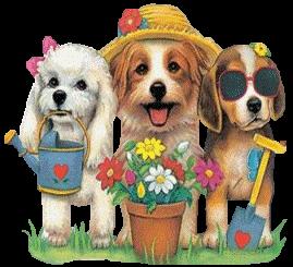 Bon Week-End Bon Week-End