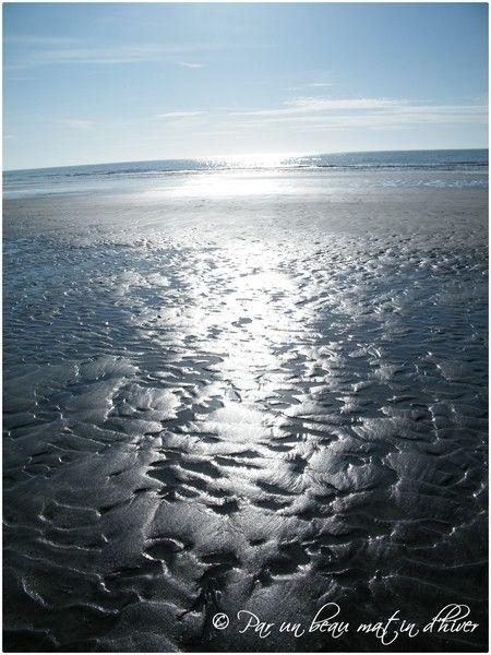 EMOTION ...Faire un Bond en arrière de quelques moisUn fi... DSCF3143