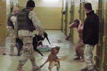 Abu-Ghraib-227.jpg