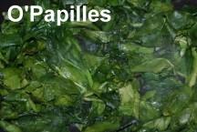 Salade de pâtes aux épinards epinards-farfalles02.jpg