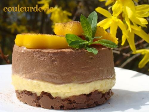 DSC07116 Croustillants à la mangue