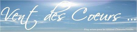 COEUR ...Un élan de Générosité flotte sur la blogosphèreT... ventdescoeurs2