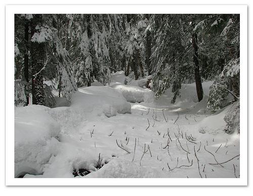 Une autre date avec mon mari whistler