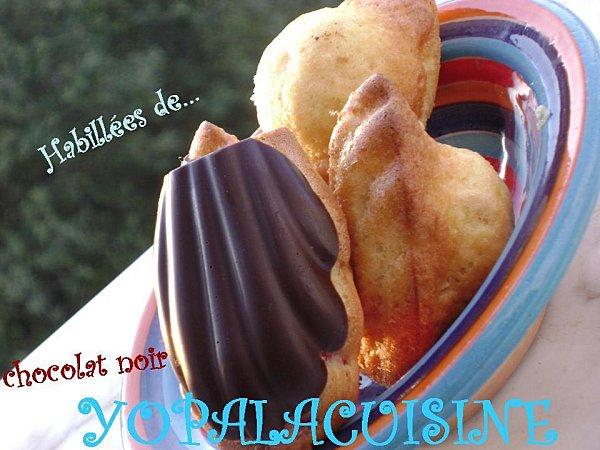 LES BOSSUES VENTRUES DE CHOCOLATATOUT! Diapositive3-copie-5