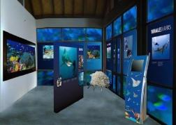 Sauvegarde des océans four-season.jpg