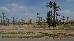 Le retour... P1010239.JPG