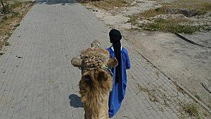 Le retour... P1010278.JPG